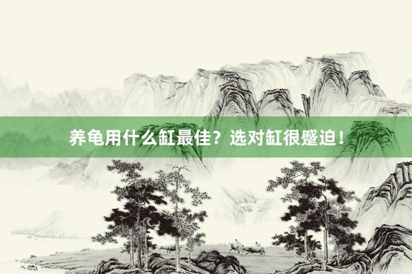养龟用什么缸最佳?选对缸很蹙迫!