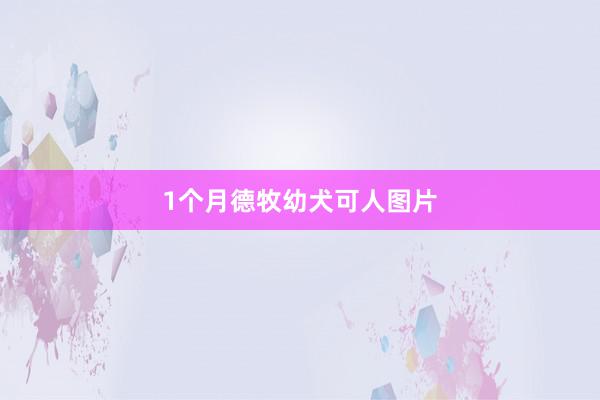 1个月德牧幼犬可人图片